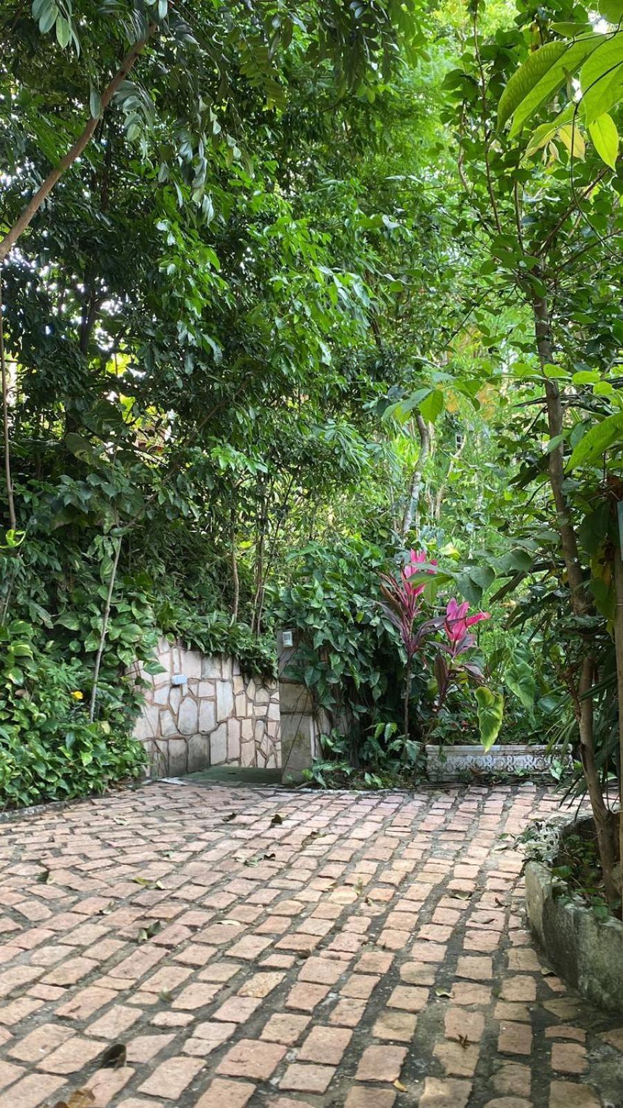 Pousada das Arvores Lencois Exterior foto