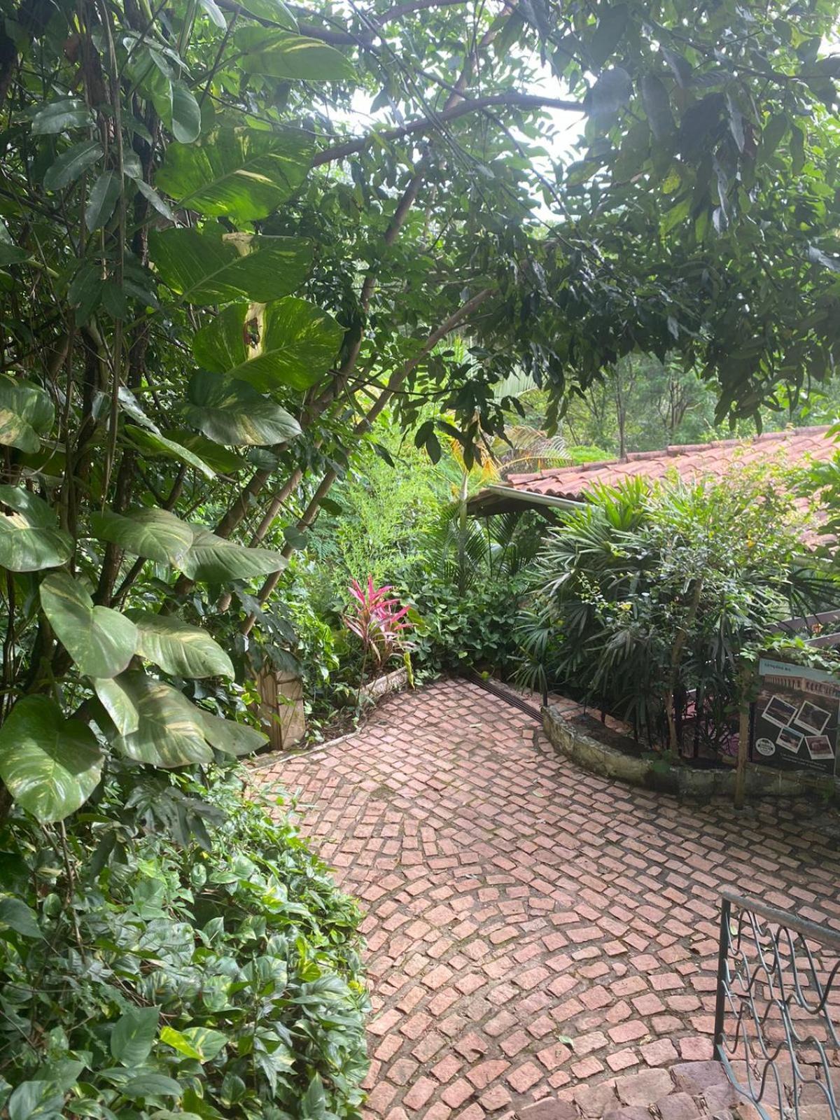 Pousada das Arvores Lencois Exterior foto